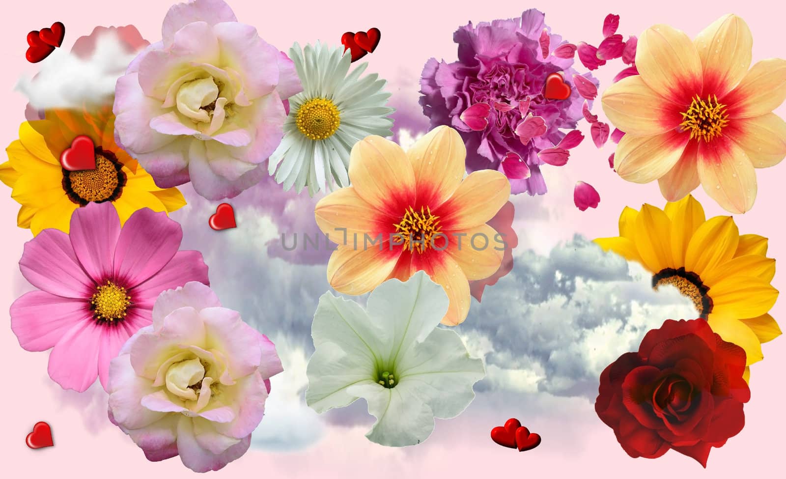 flower collage by toady8