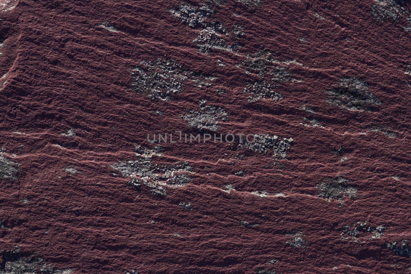 Abstract background of red slate with grain and lichen.