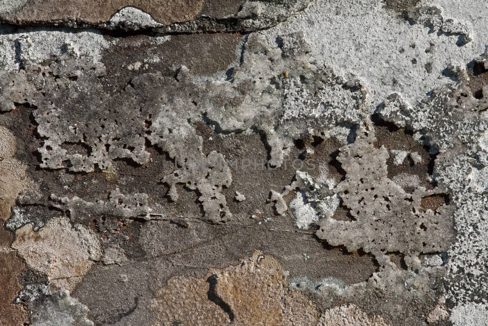 An area of blue/grey slate with map lichen and patches of quartz crystal.