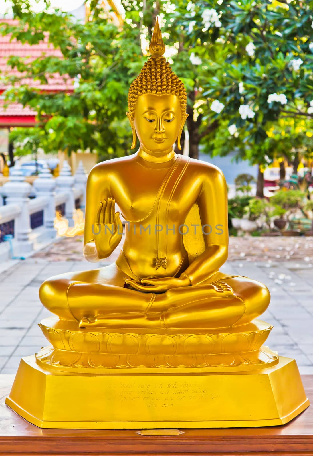 Holy Buddha in Thai temples.