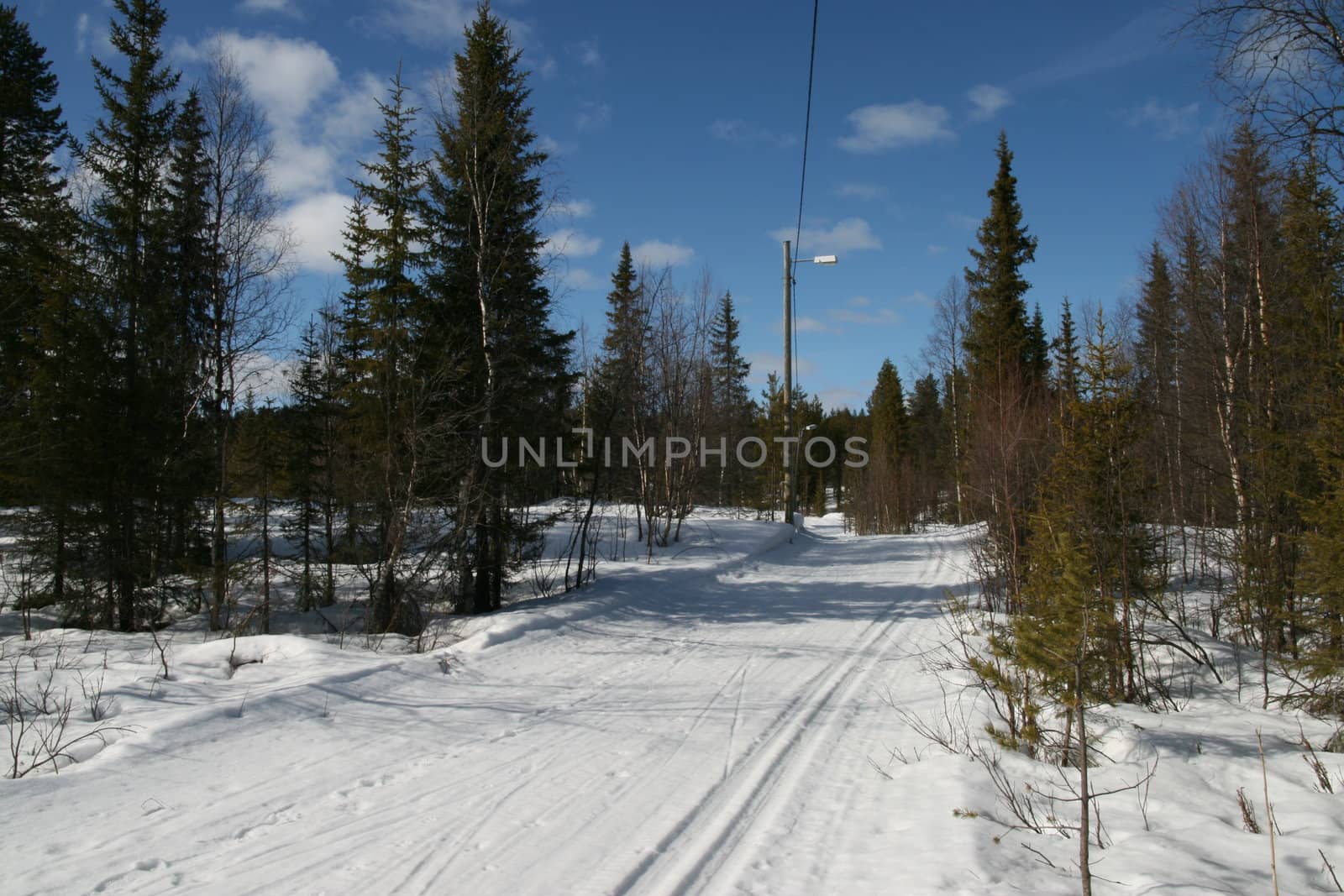 A skitrack in the forest, early spring.