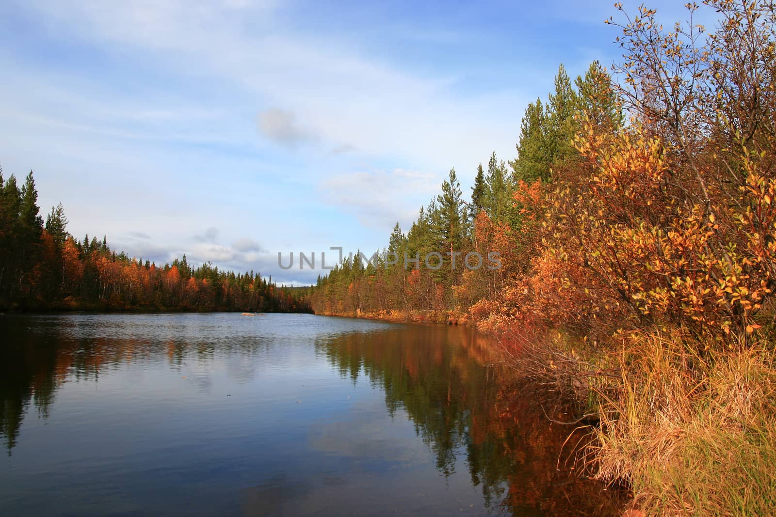 Autumn river by steelneck