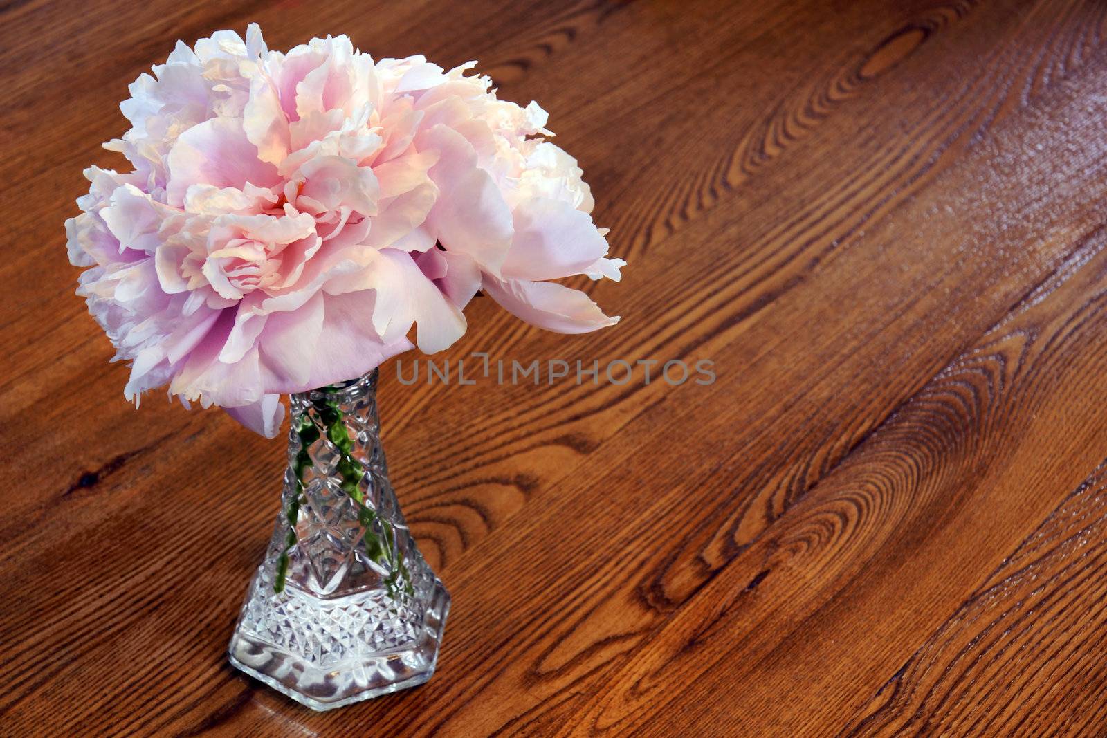 Pink peony flowers inside a cristal vase on a wooden table with veins and knots.