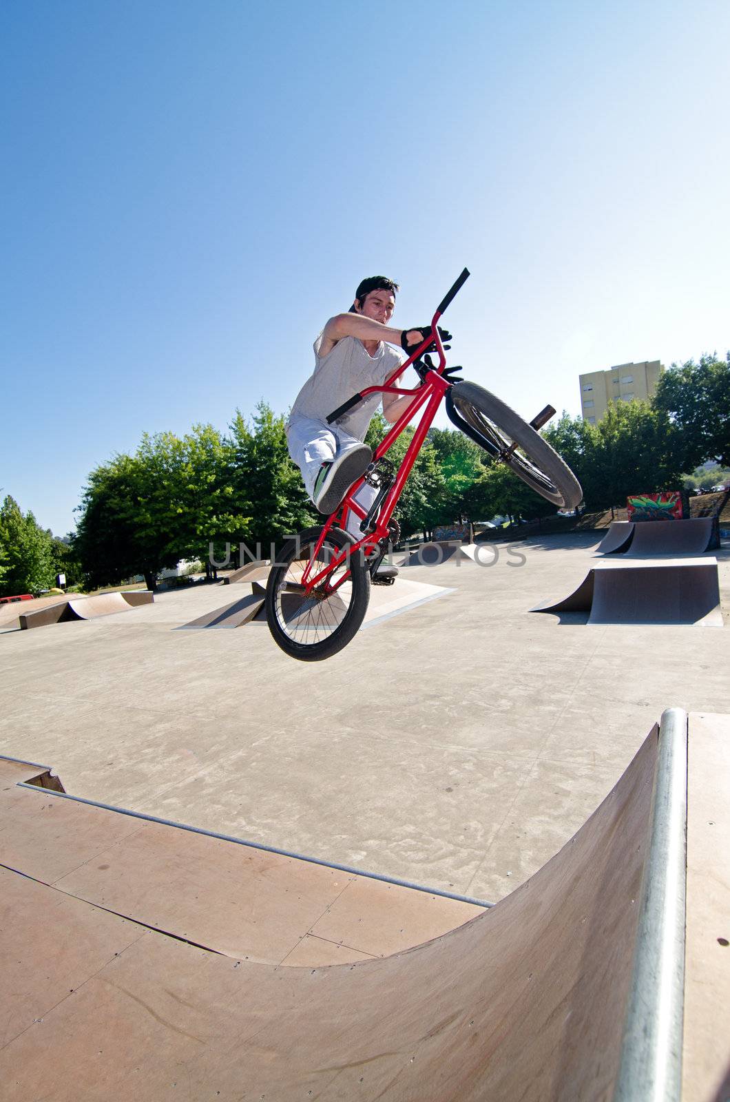 Bmx rider performing a bar spin to a quater pipe ramp on a skatepark.
