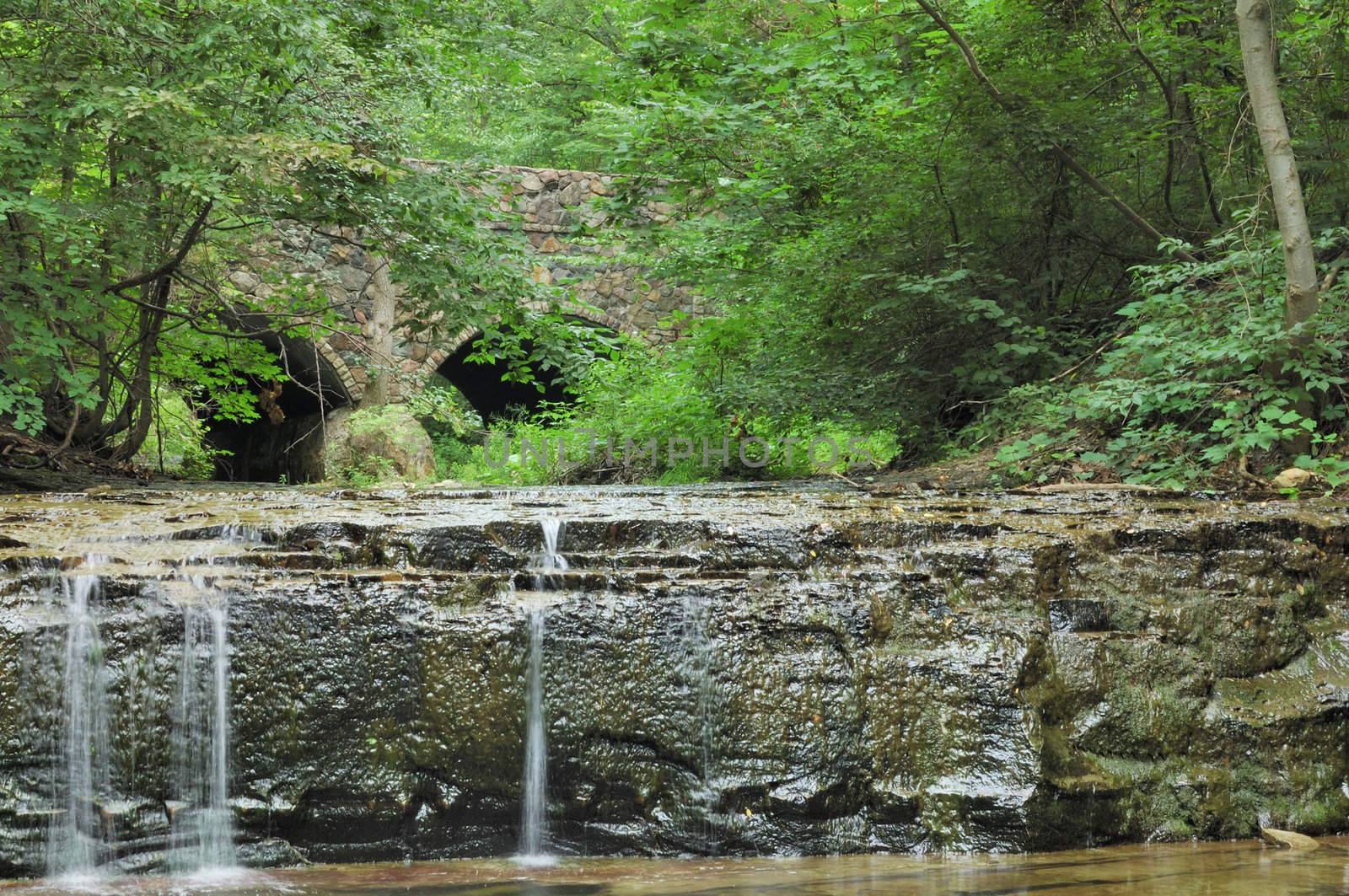  Low running stream in the summer months.