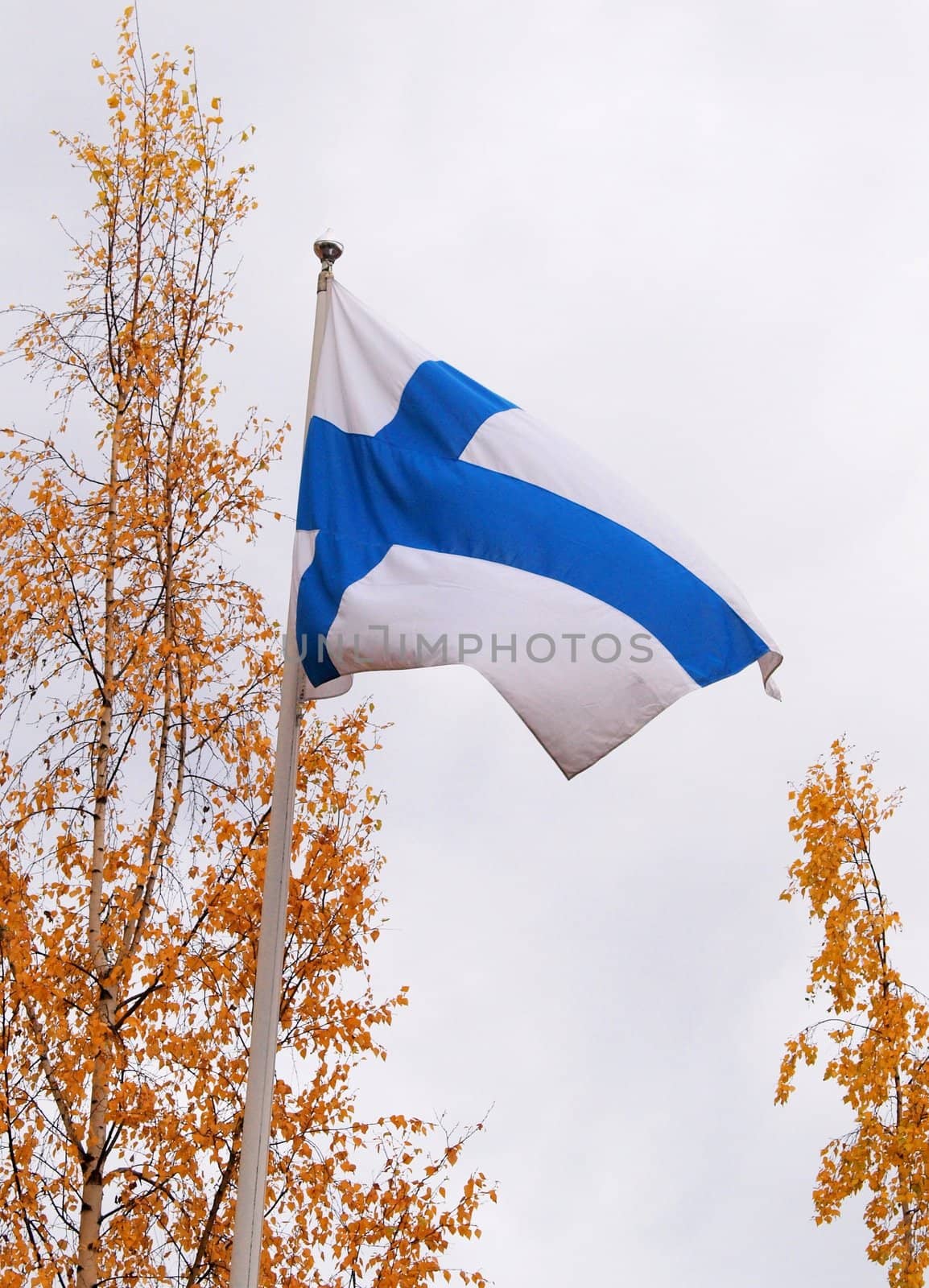 Finnish flag, on a flag pole
