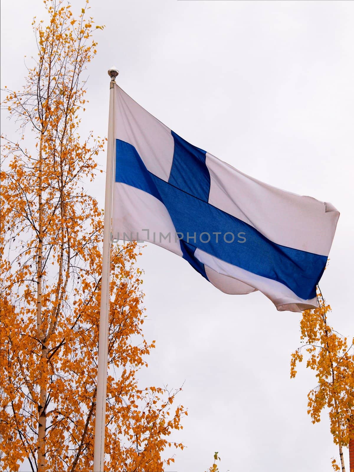 Finnish flag, on a flag pole