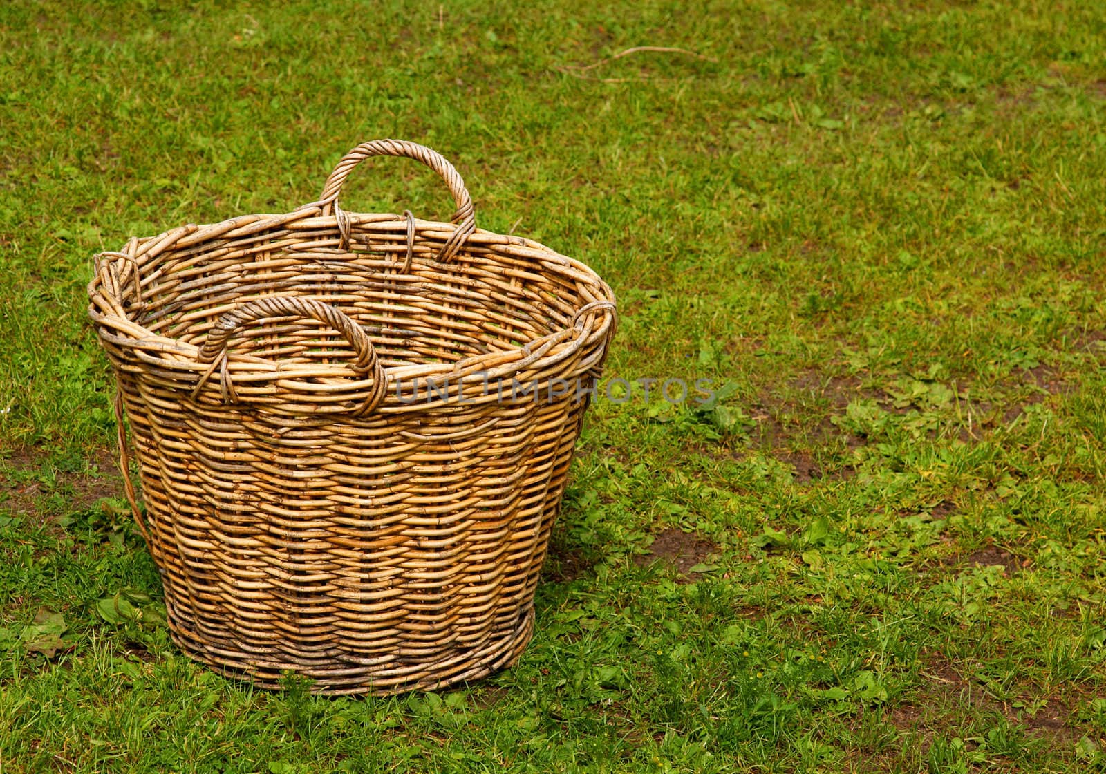 Empty woven basket standing in the grass