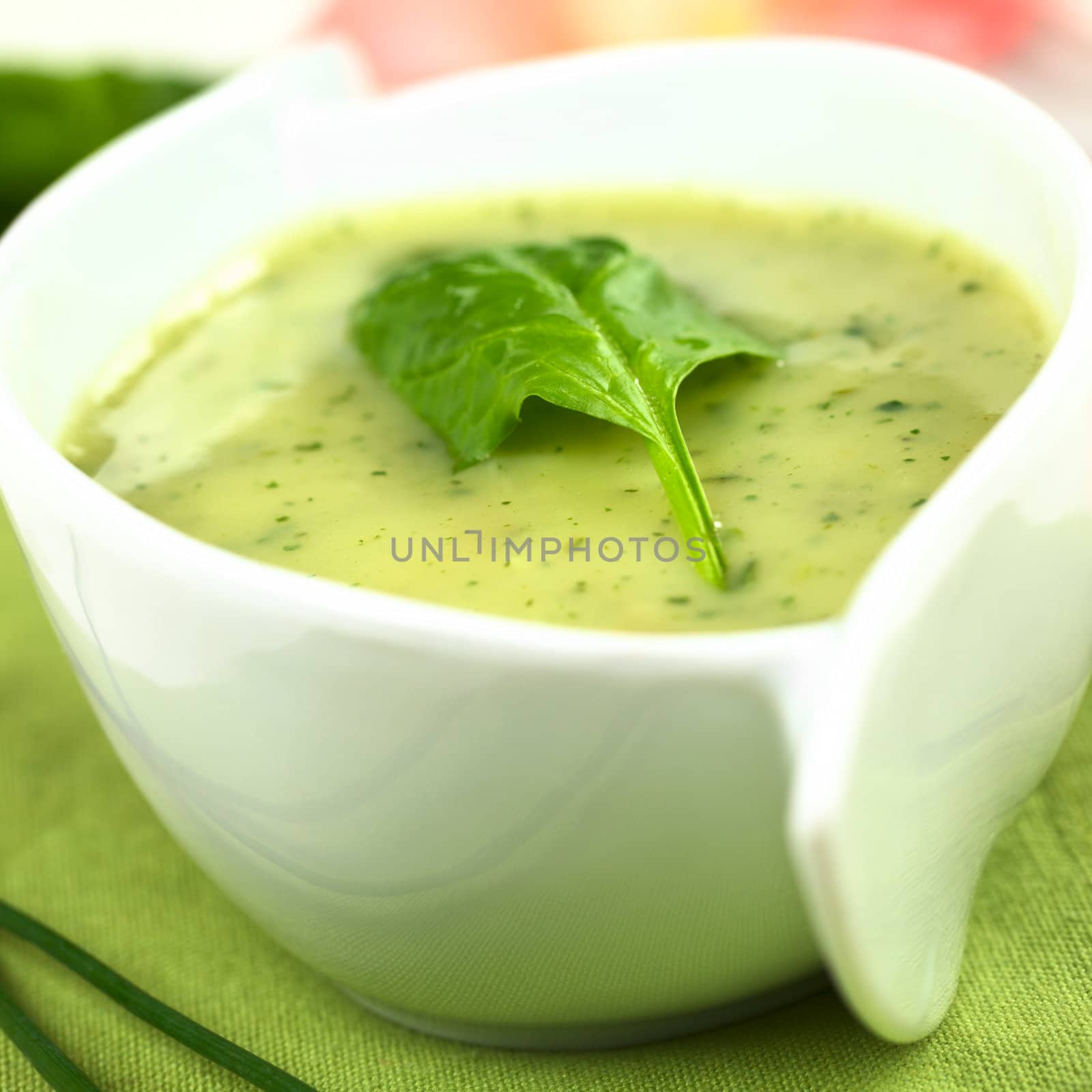 Spinach cream soup with fresh spinach leaf on top (Selective focus, Focus on the left front edge of the leaf)