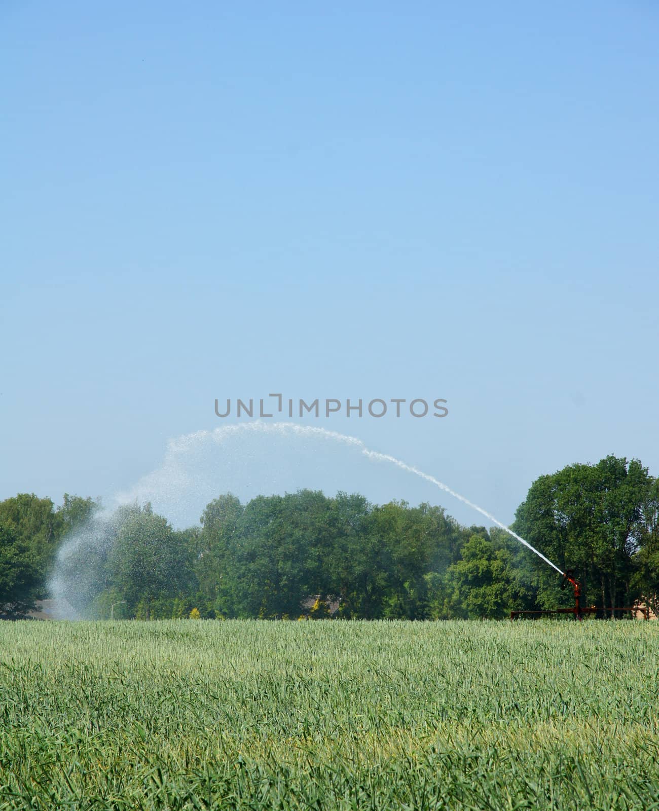 Water sprinkler in grain field