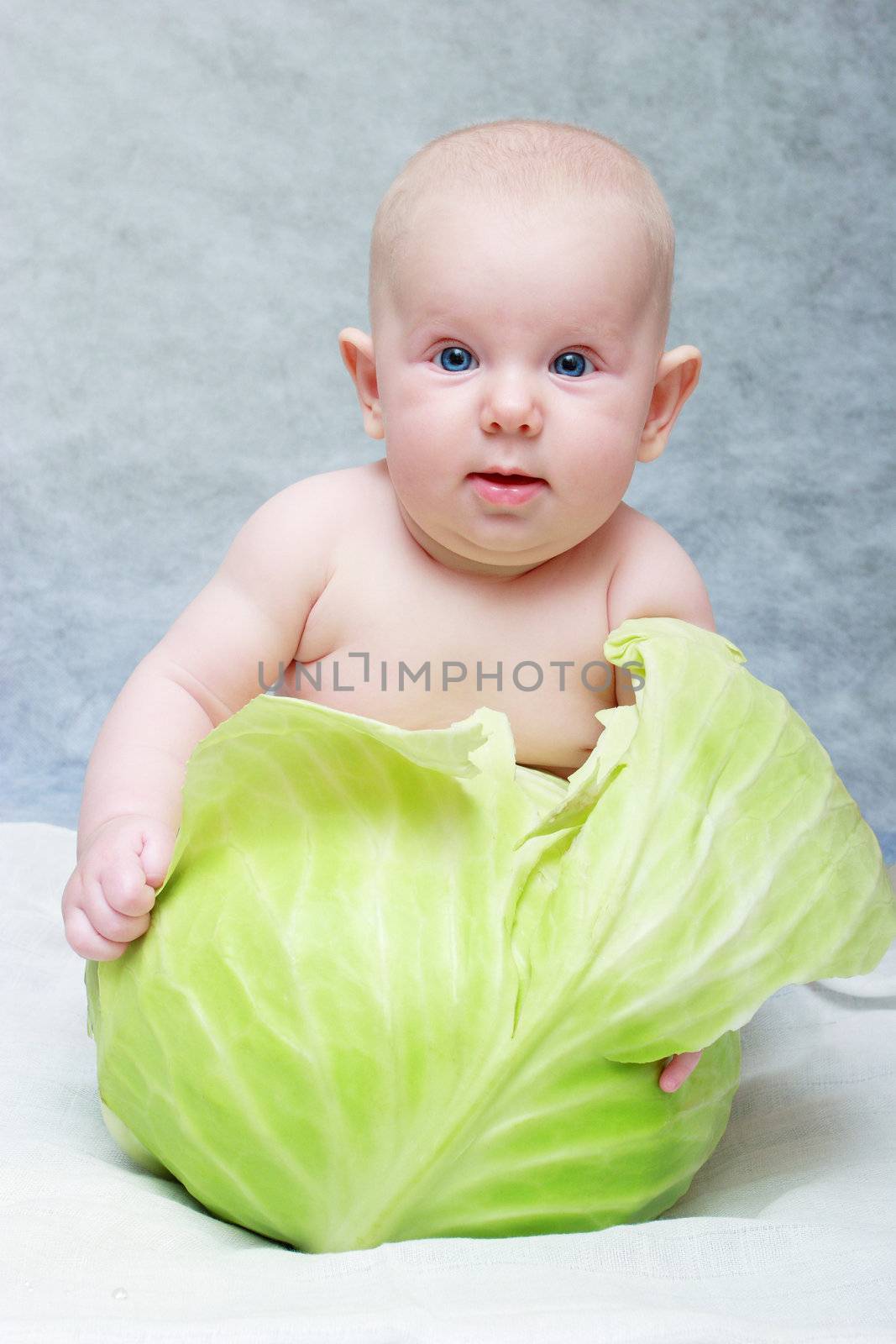 baby seat in cabbage