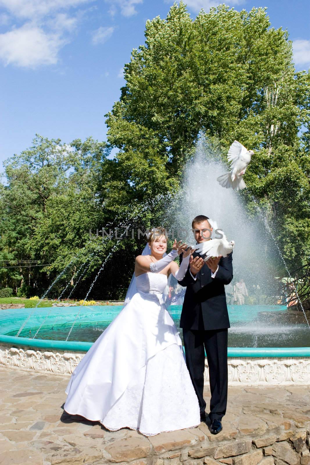 a bride and a groom let go pigeons