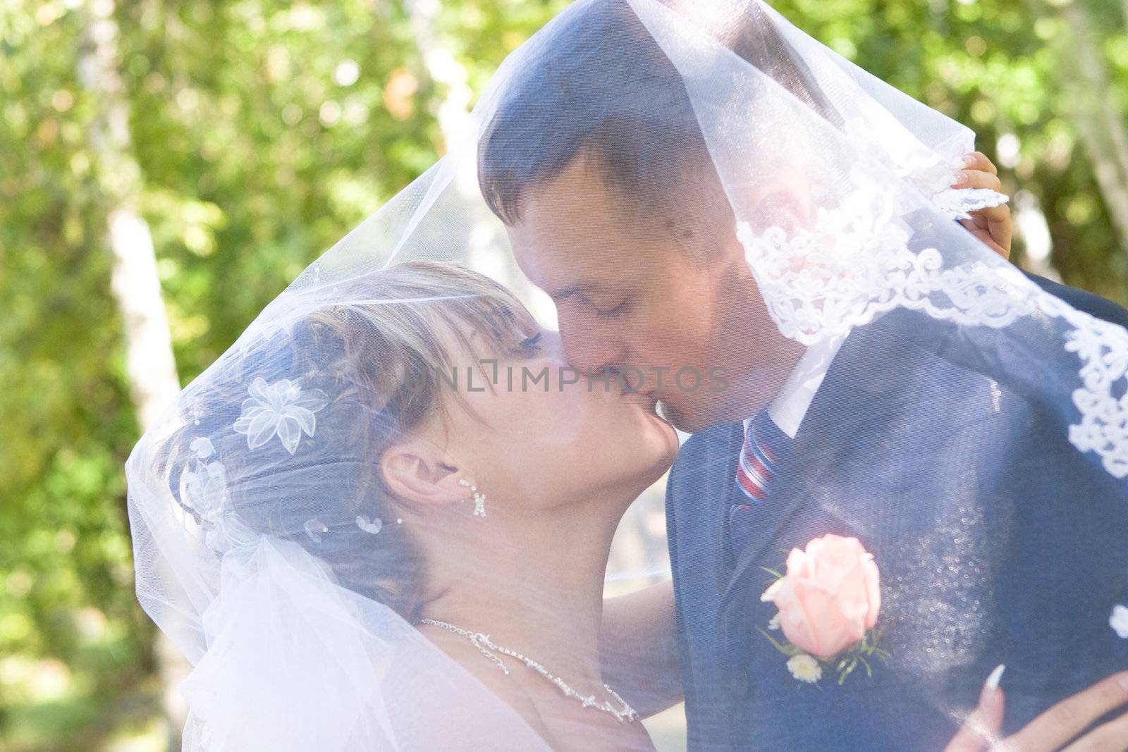 a bride and a groom kissing under the veil