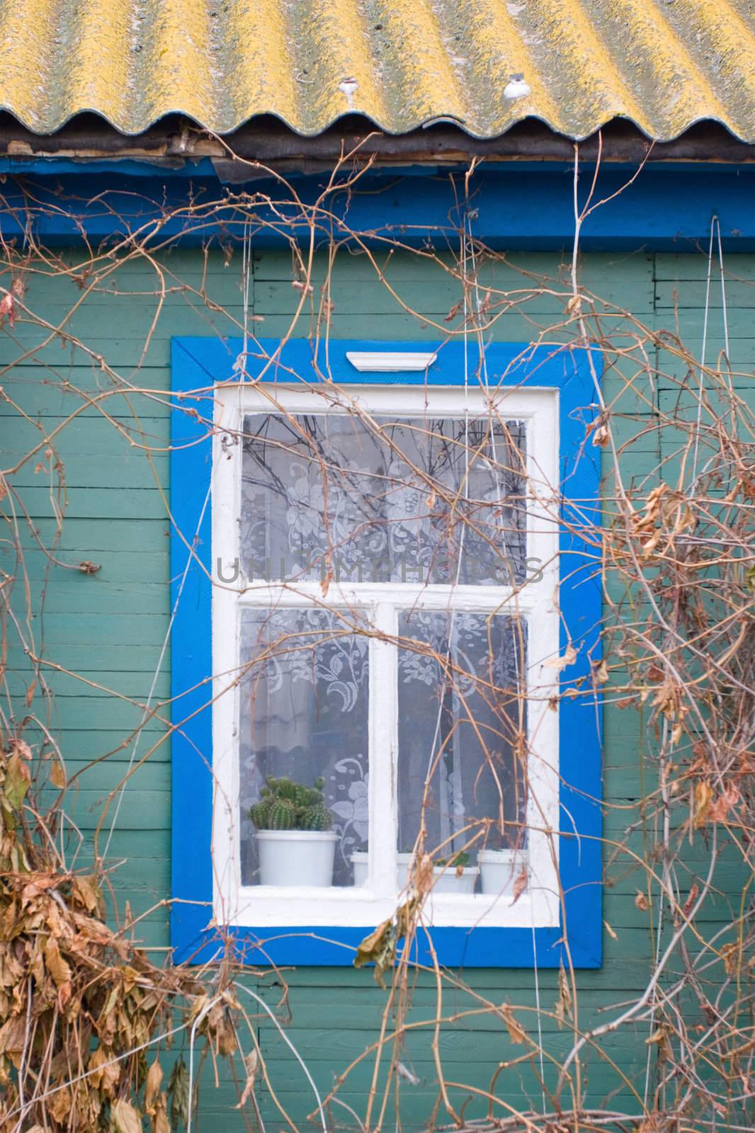 a window of a country wooden house