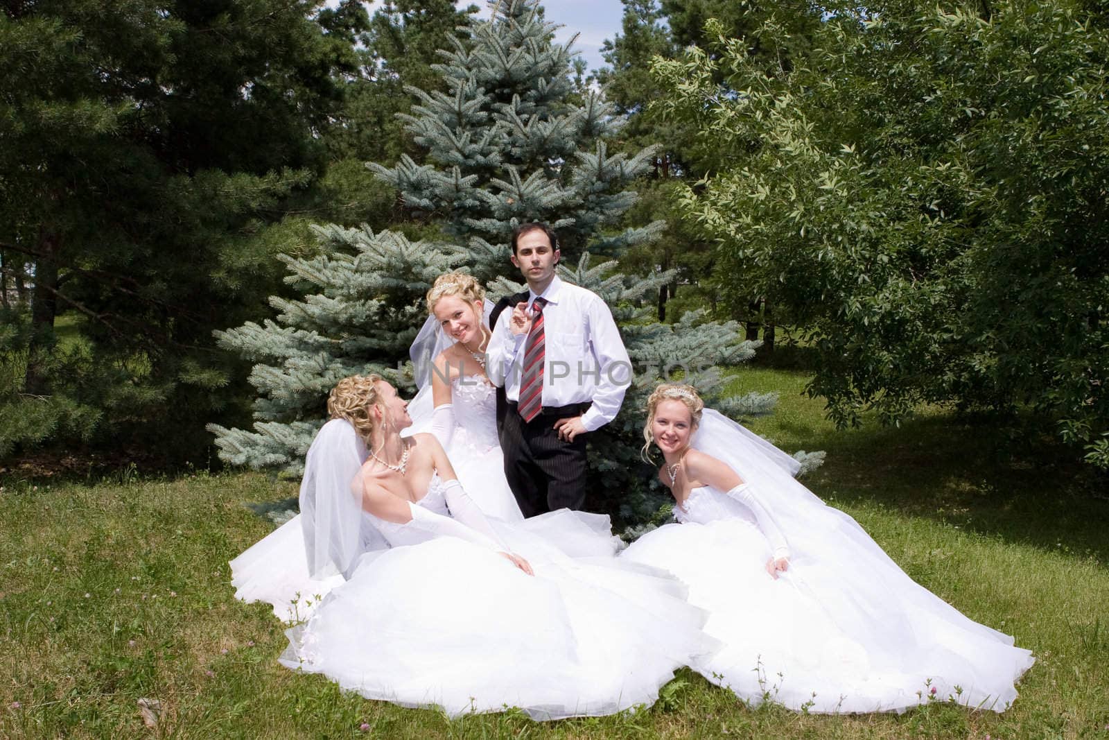 a groom and three brides around him
