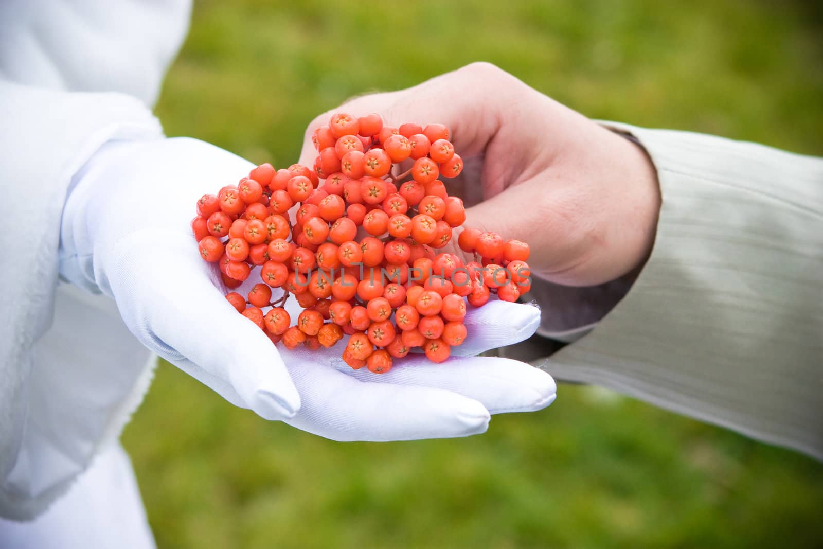 a bunch of ashberry in the hands of a bride and a groom