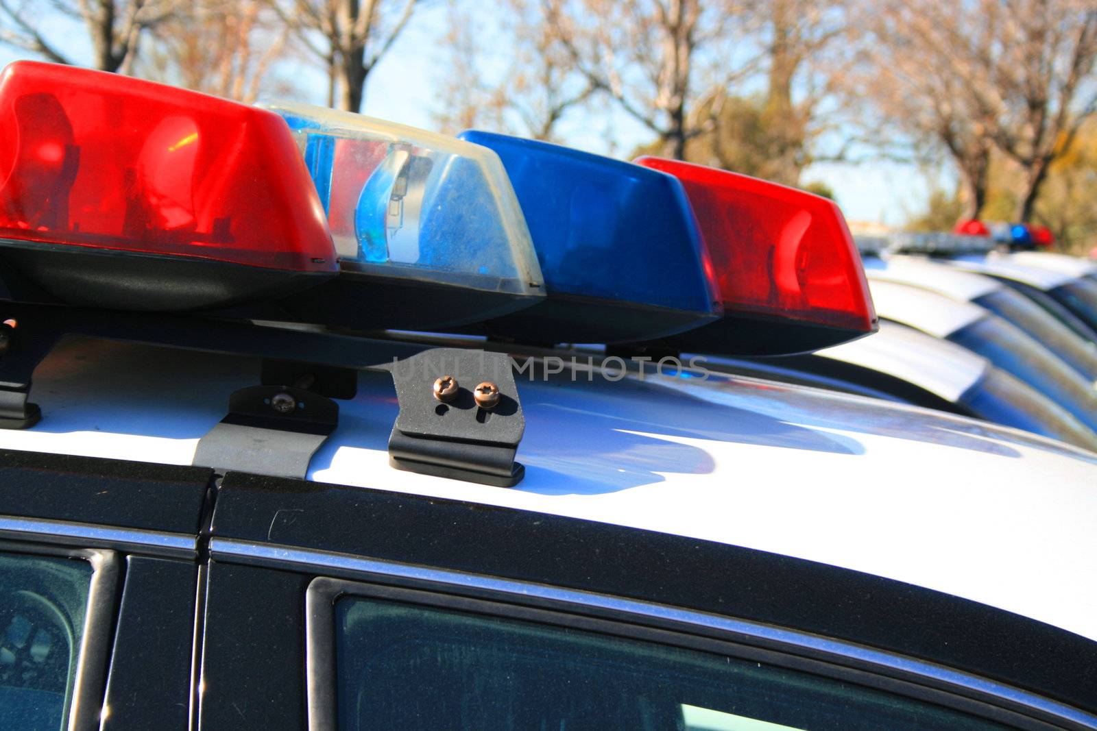 Police cars parked in a parking lot.
