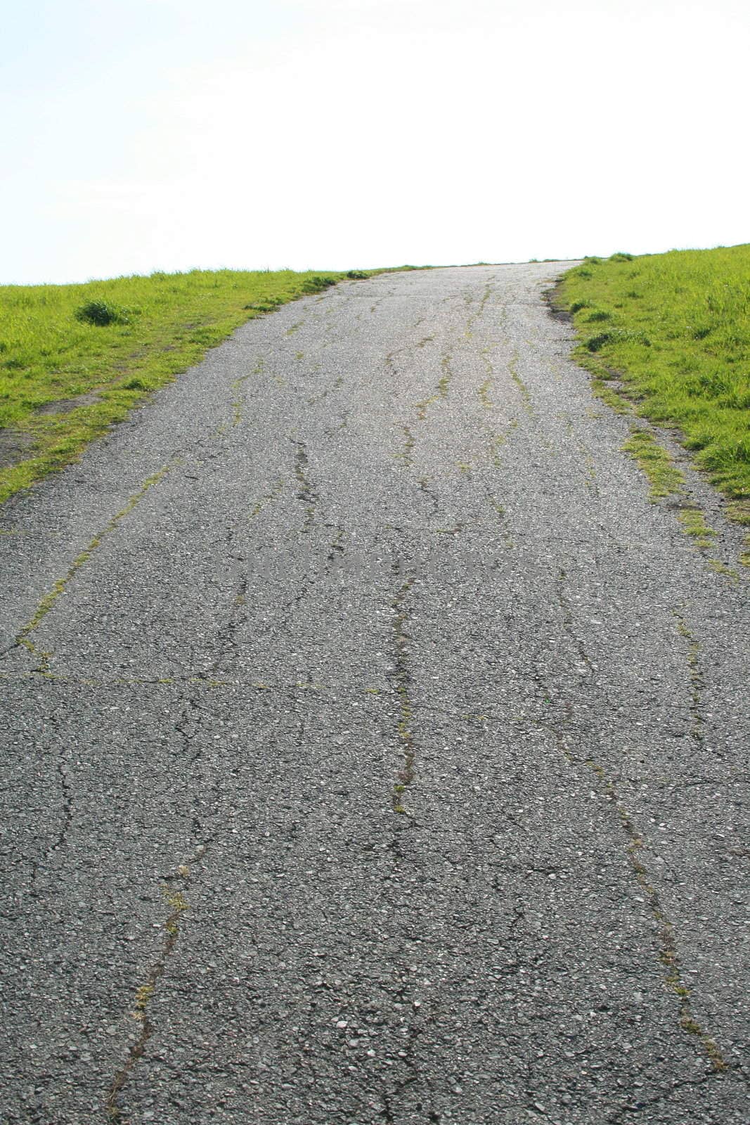 Road in a park during day time.
