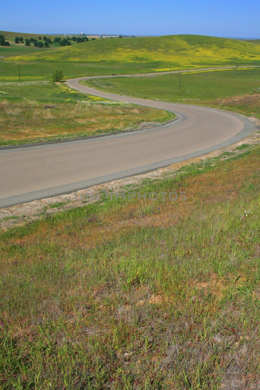 Long windy road on a sunny day.
