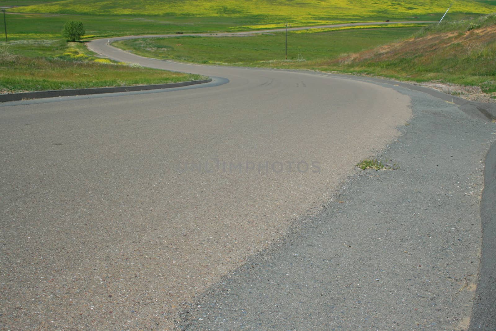 Long windy road on a sunny day.
