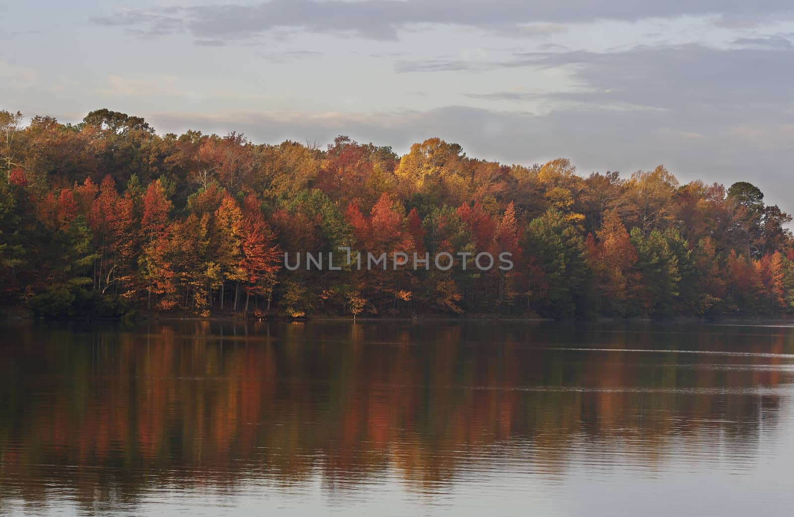 a picture of fall trees and water