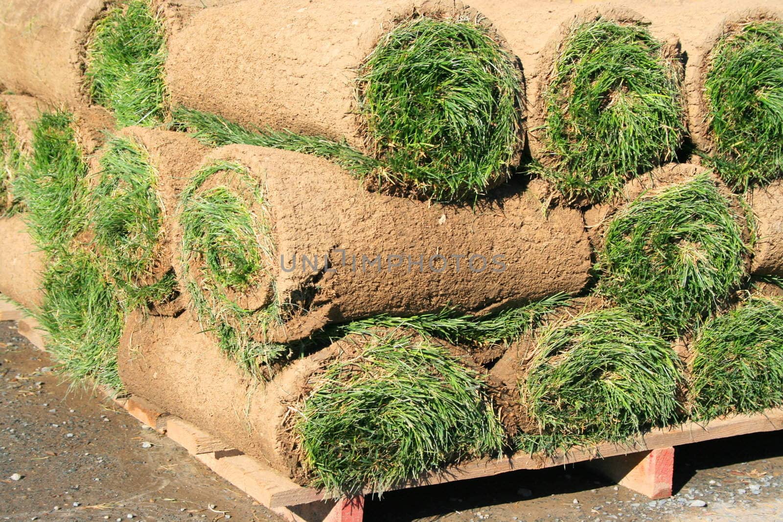 Rolls Of Sod by MichaelFelix