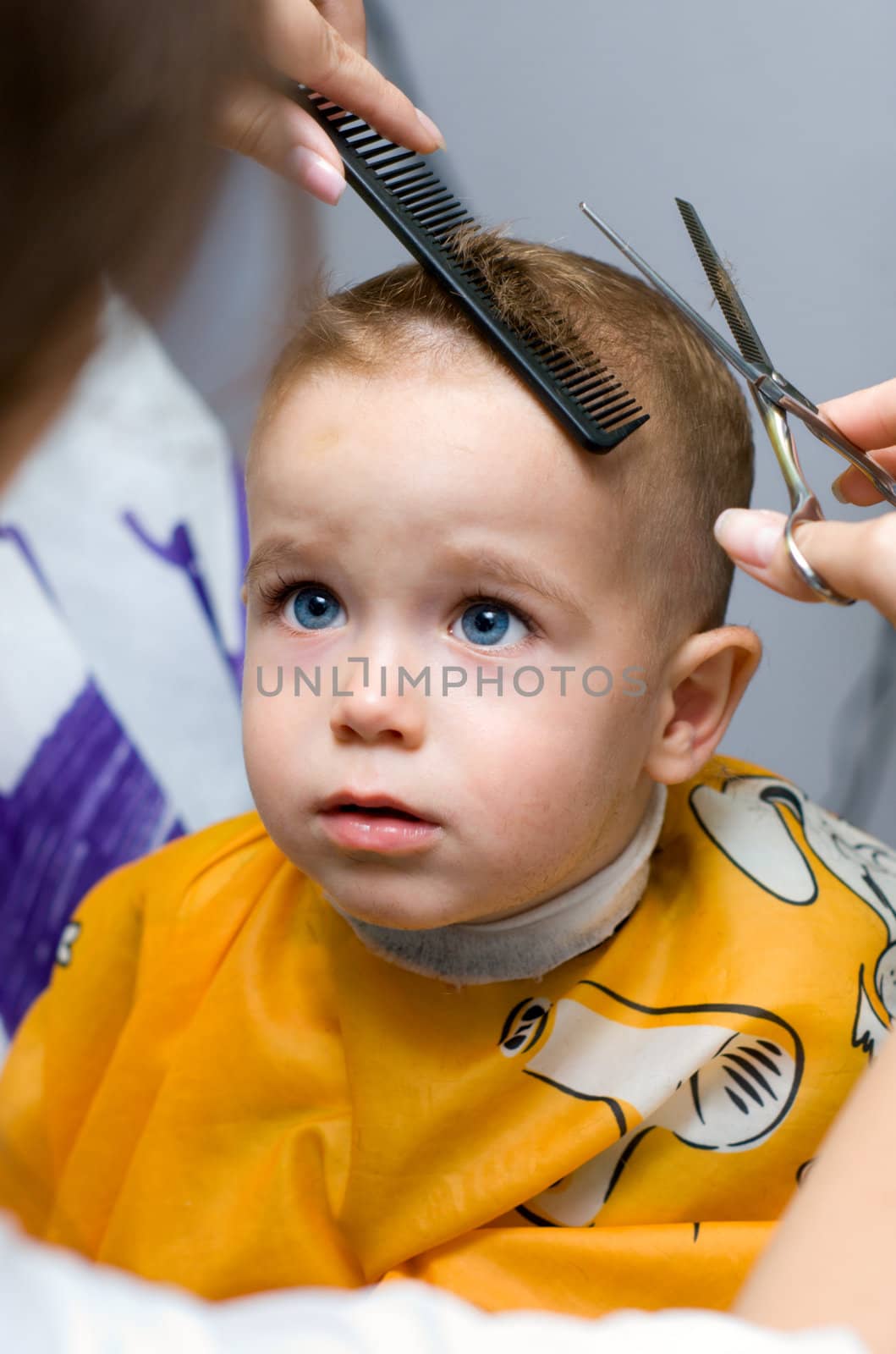 Haircutting one year old boy in the hairdressing saloon