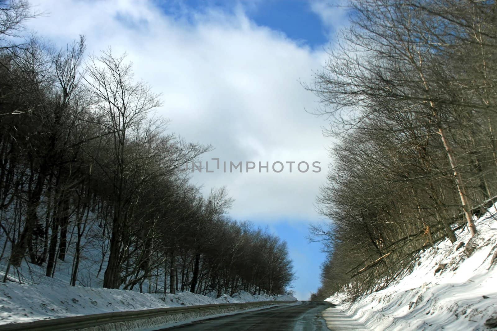 A road in winter with trees and snow to the sides
