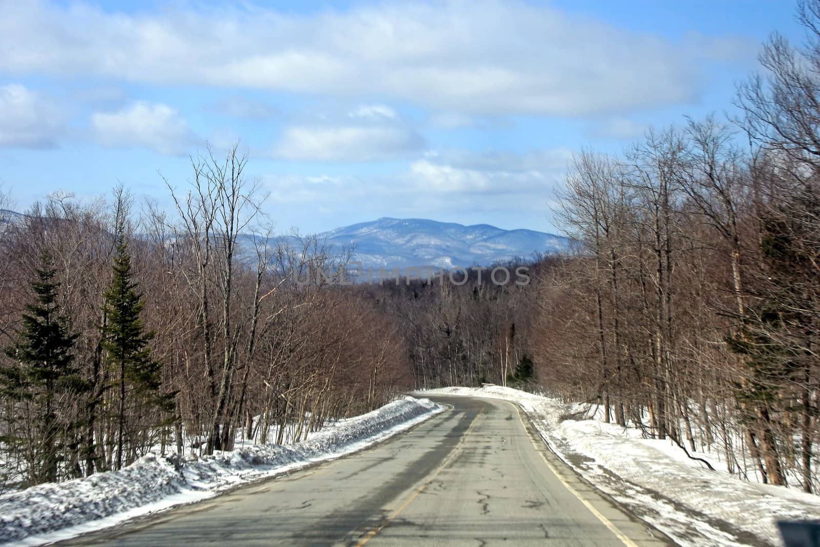 A road in winter with trees and snow to the sides.