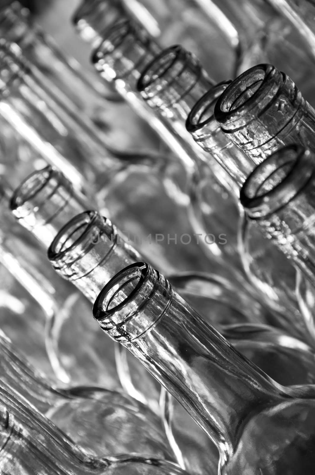 Black & white angled closeup of clean & clear empty wine bottles lined up waiting to be filled at a winery