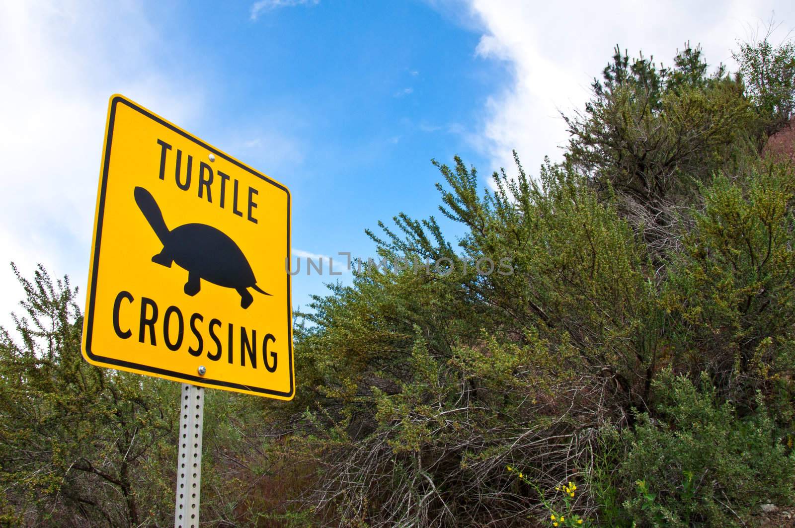 Unique turtle crossing sign in B.C. Canada with bright blue sky & clouds behind it.