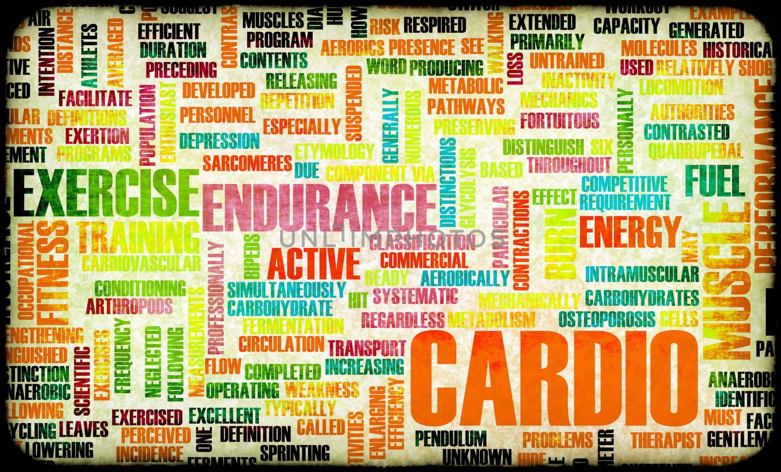 Cardio Workout or High Intensity Fitness Concept