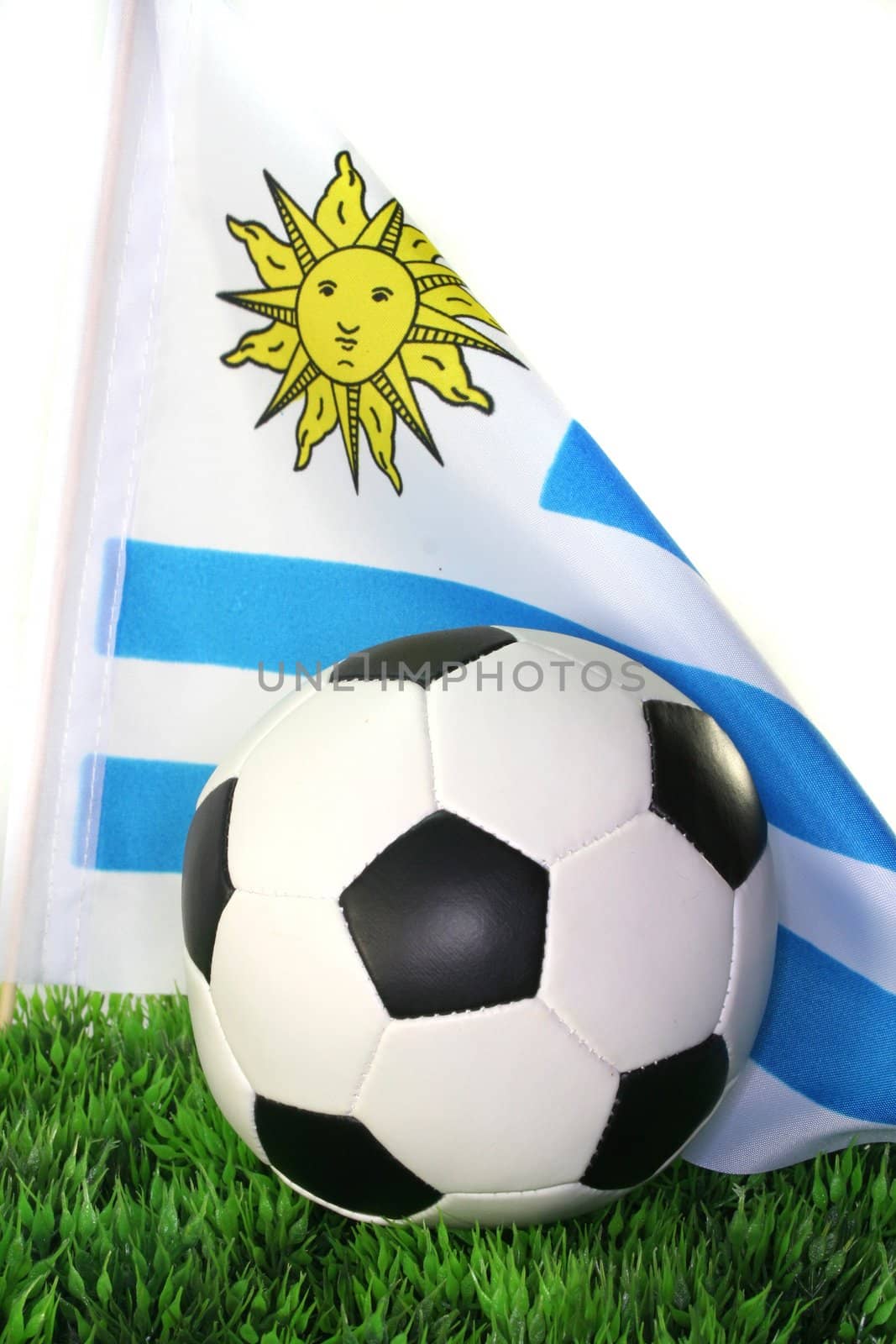 Flag of the Uruguay with football in a field