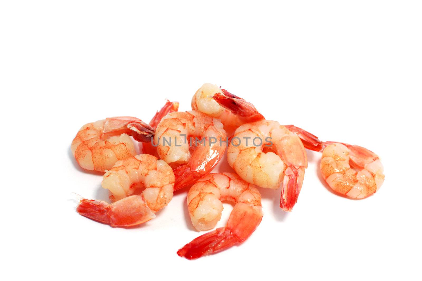 many delicious boiled shrimps on white