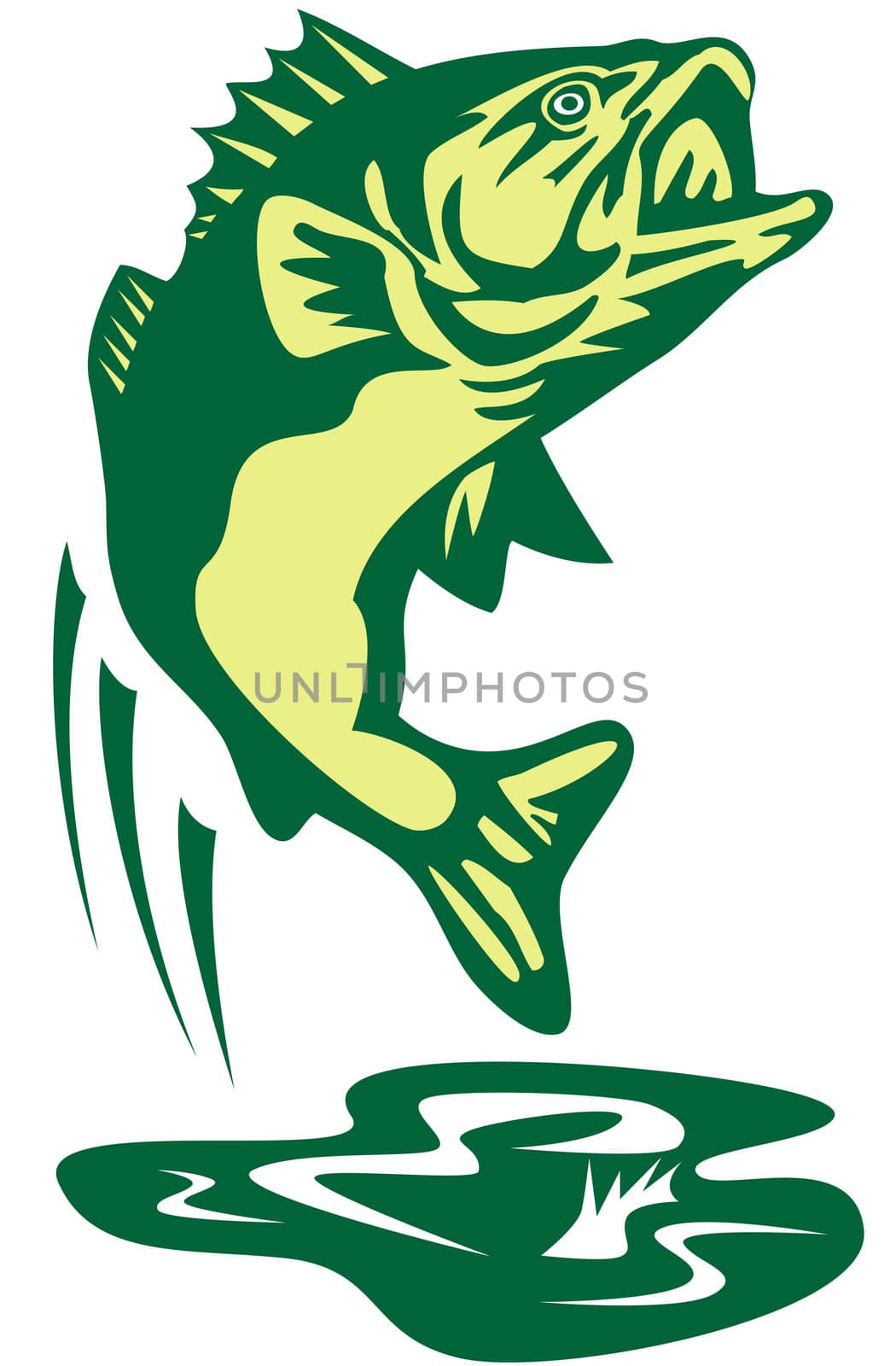 illustration of a largemouth bass jumping done in retro style
