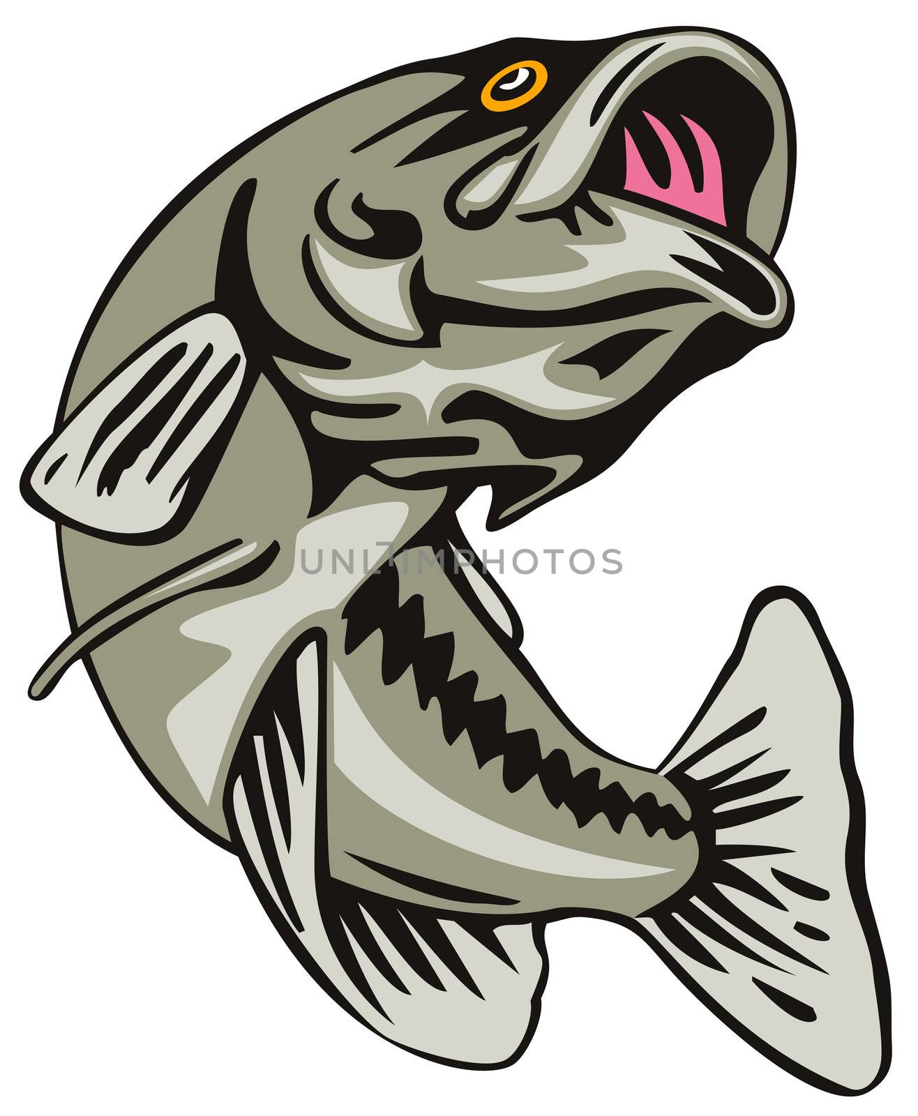 illustration of a largemouth bass jumping done in retro style