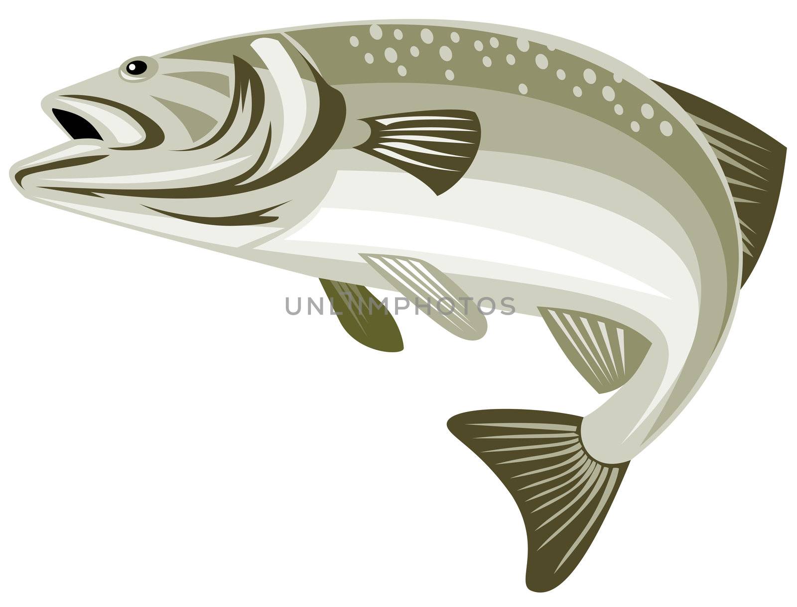 illustration of a largemouth bass jumping done in retro style