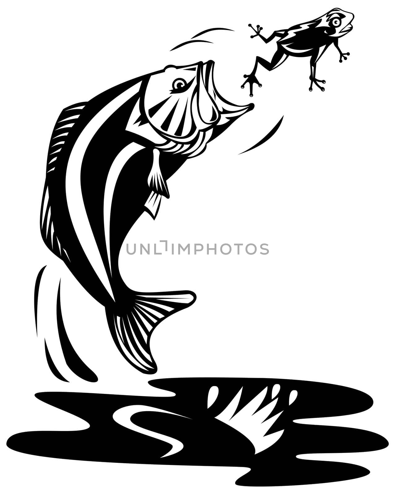 illustration of a largemouth bass jumping catching frog done in retro style