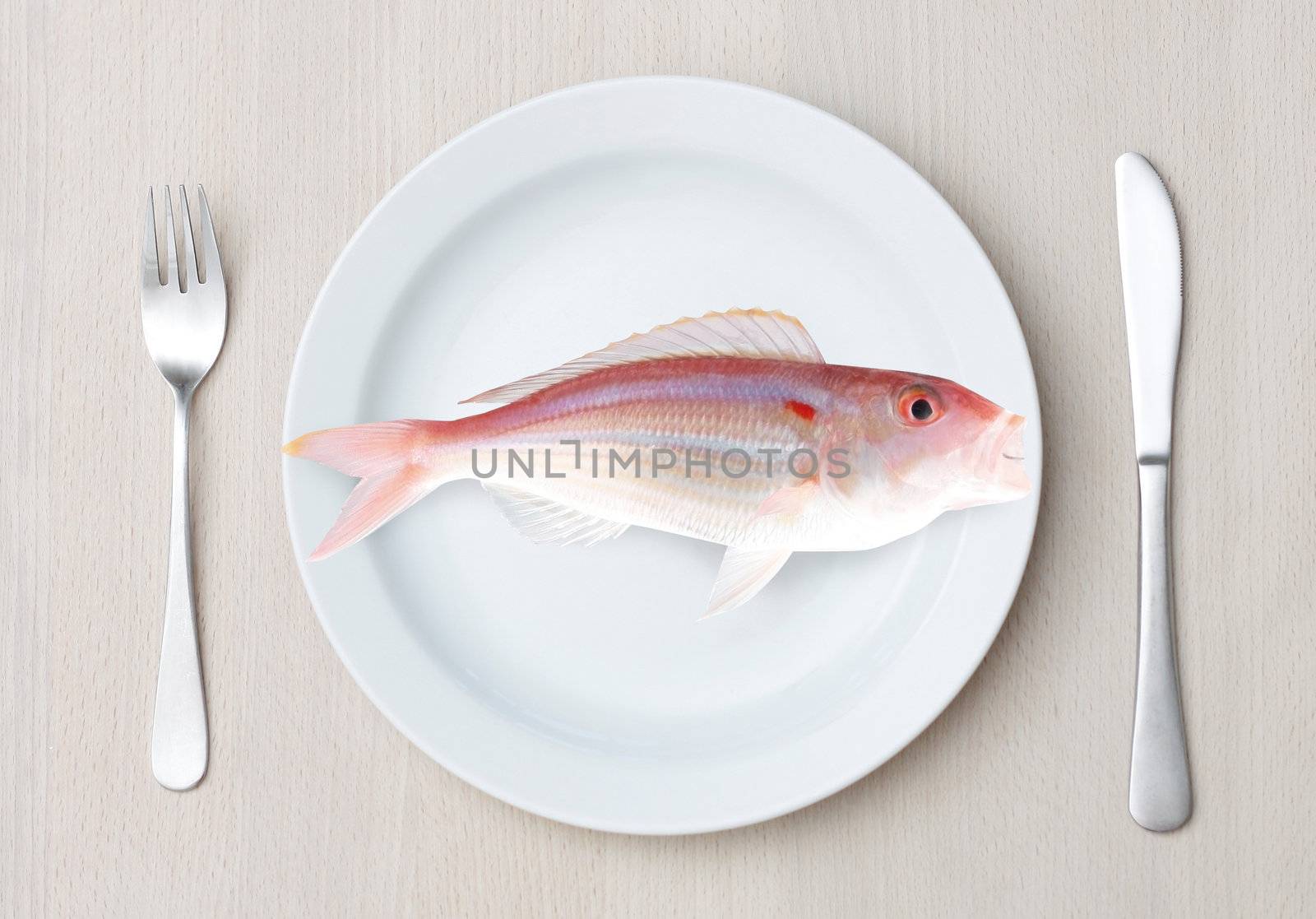 Fish on a plate