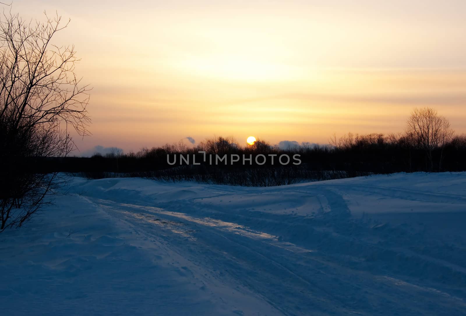 Winter Road by alena0509