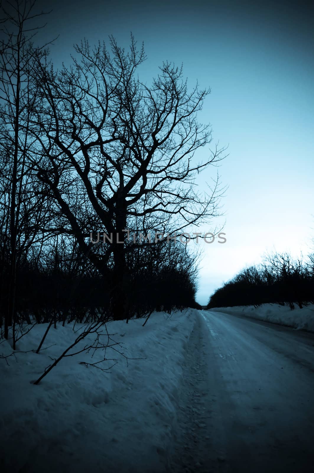 Winter Road by alena0509