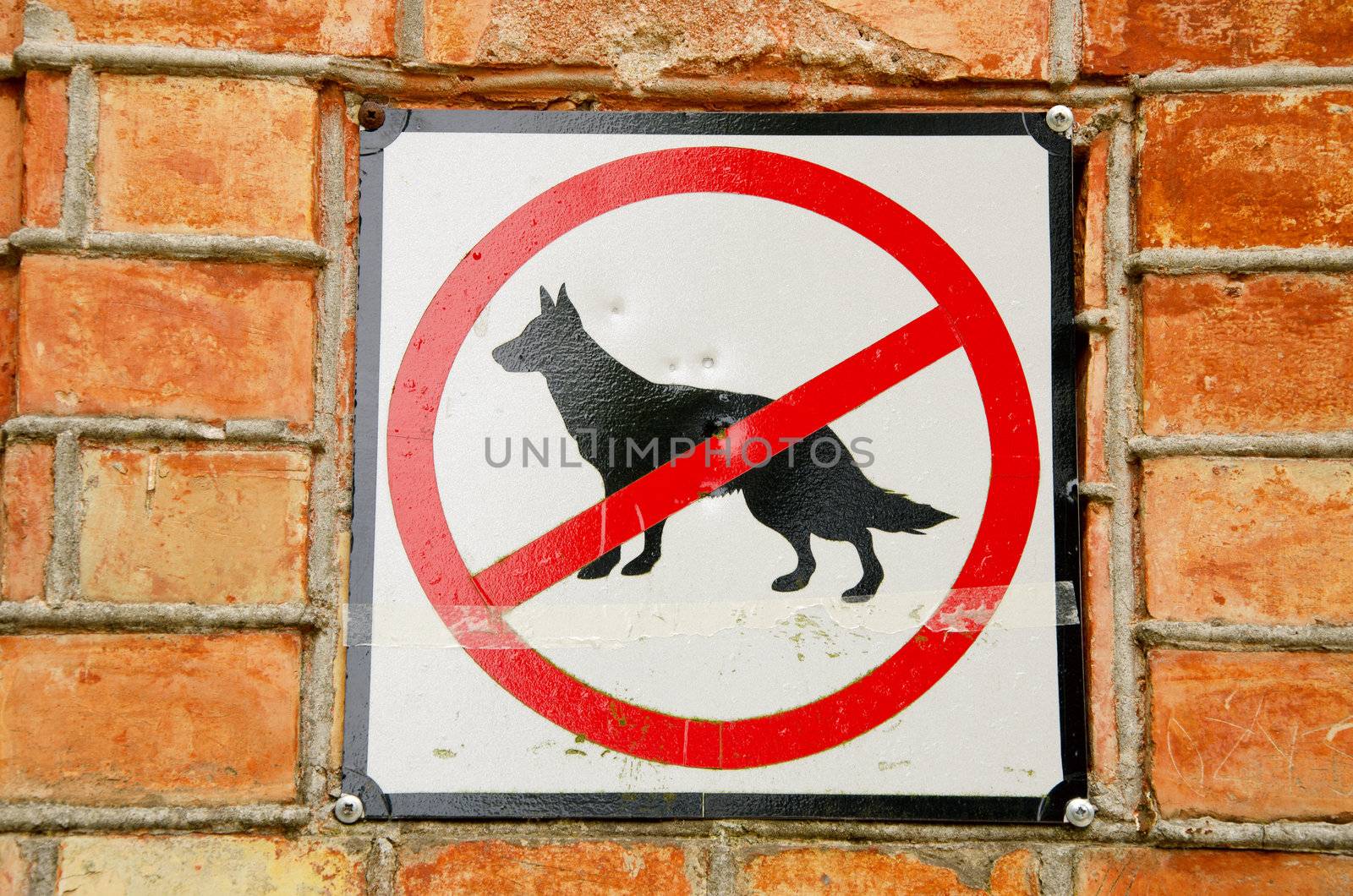 No dogs. by sauletas