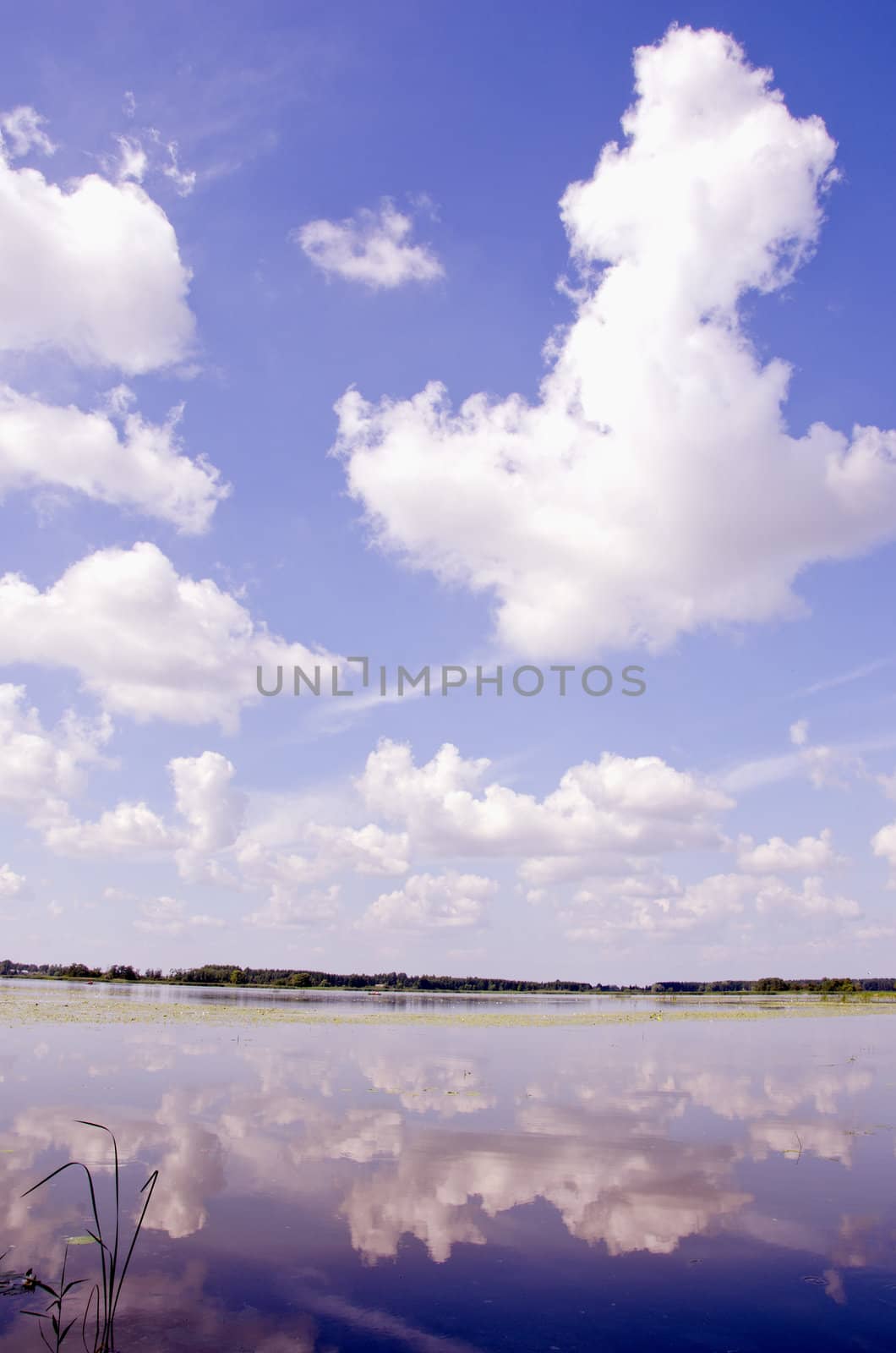 Beautiful view of summer lake and sky in sunny day.