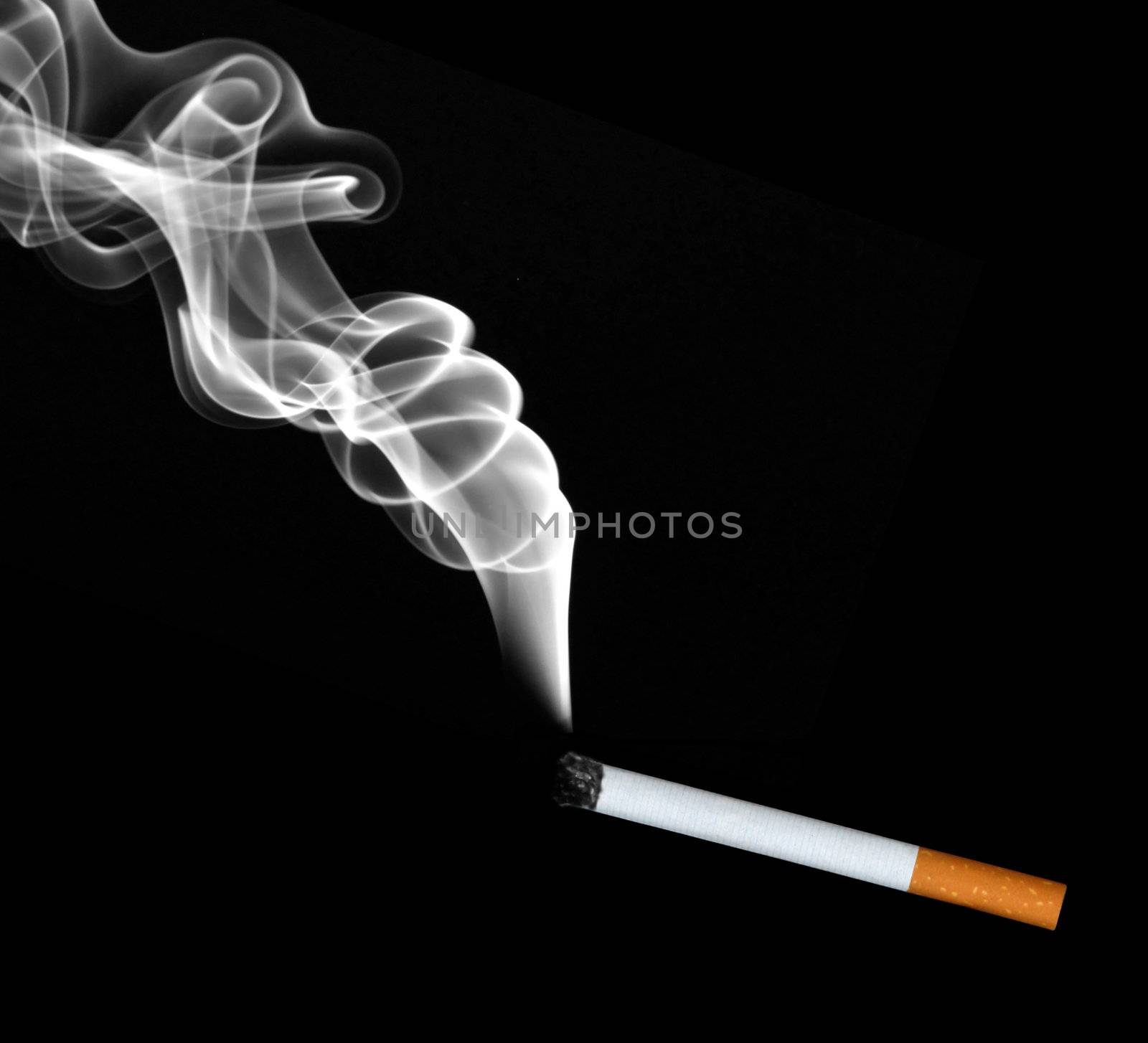 Cigarette by leeser