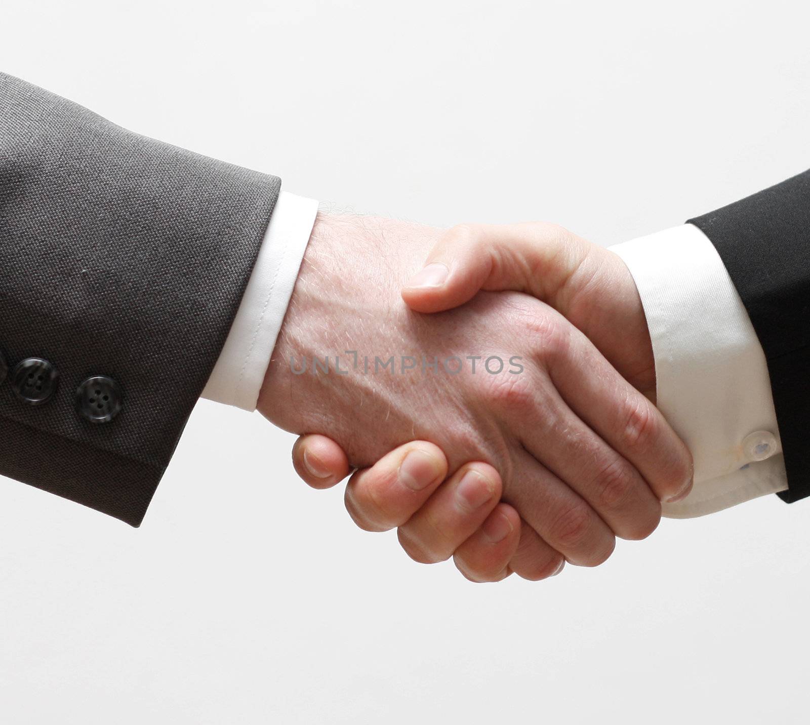 Two business men shaking hands