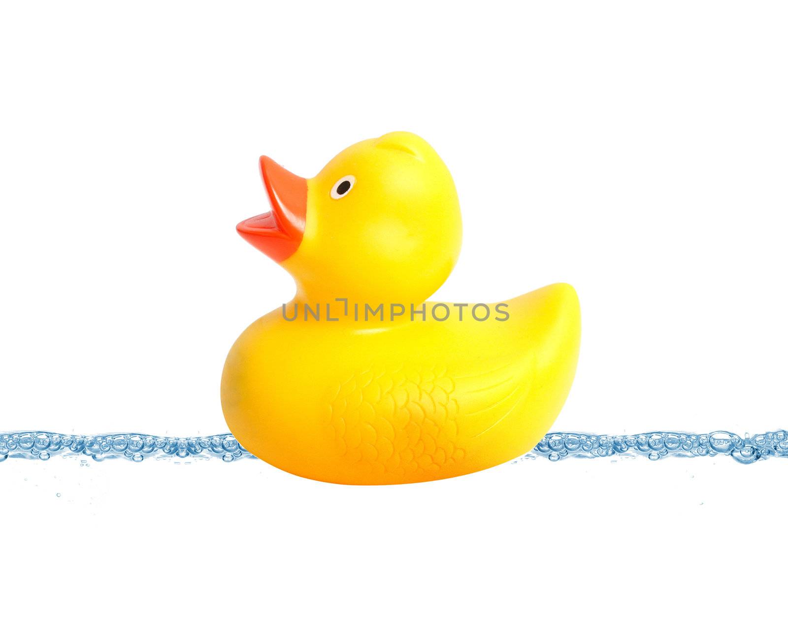 Duck by leeser