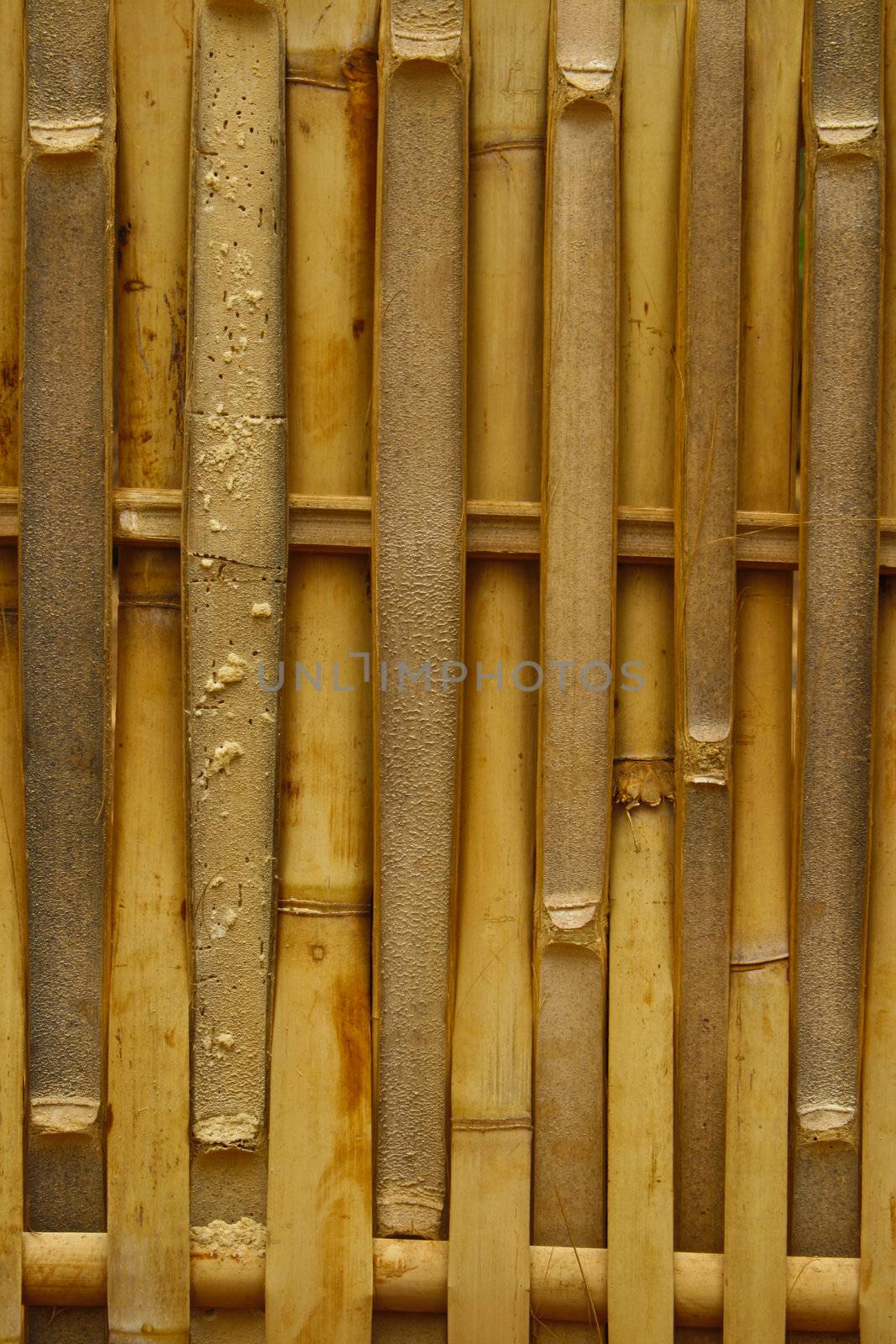 Close-up bamboo background texture with columns