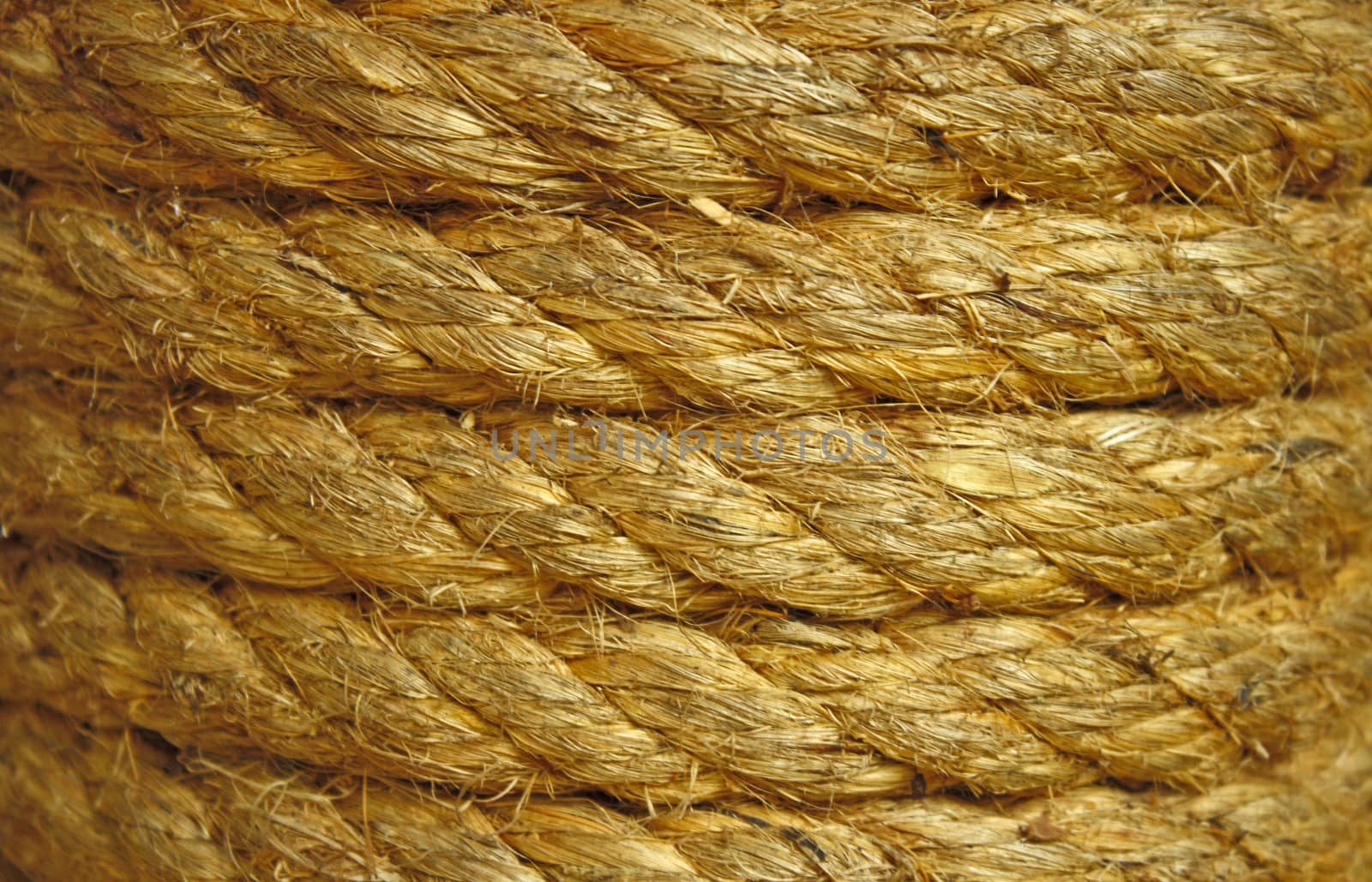 Close up view of the rope background