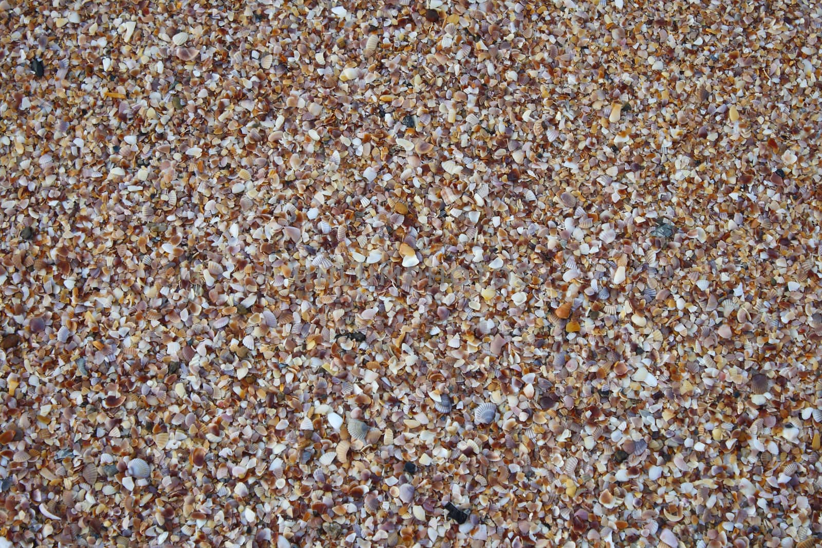 Texture of sand on the beach