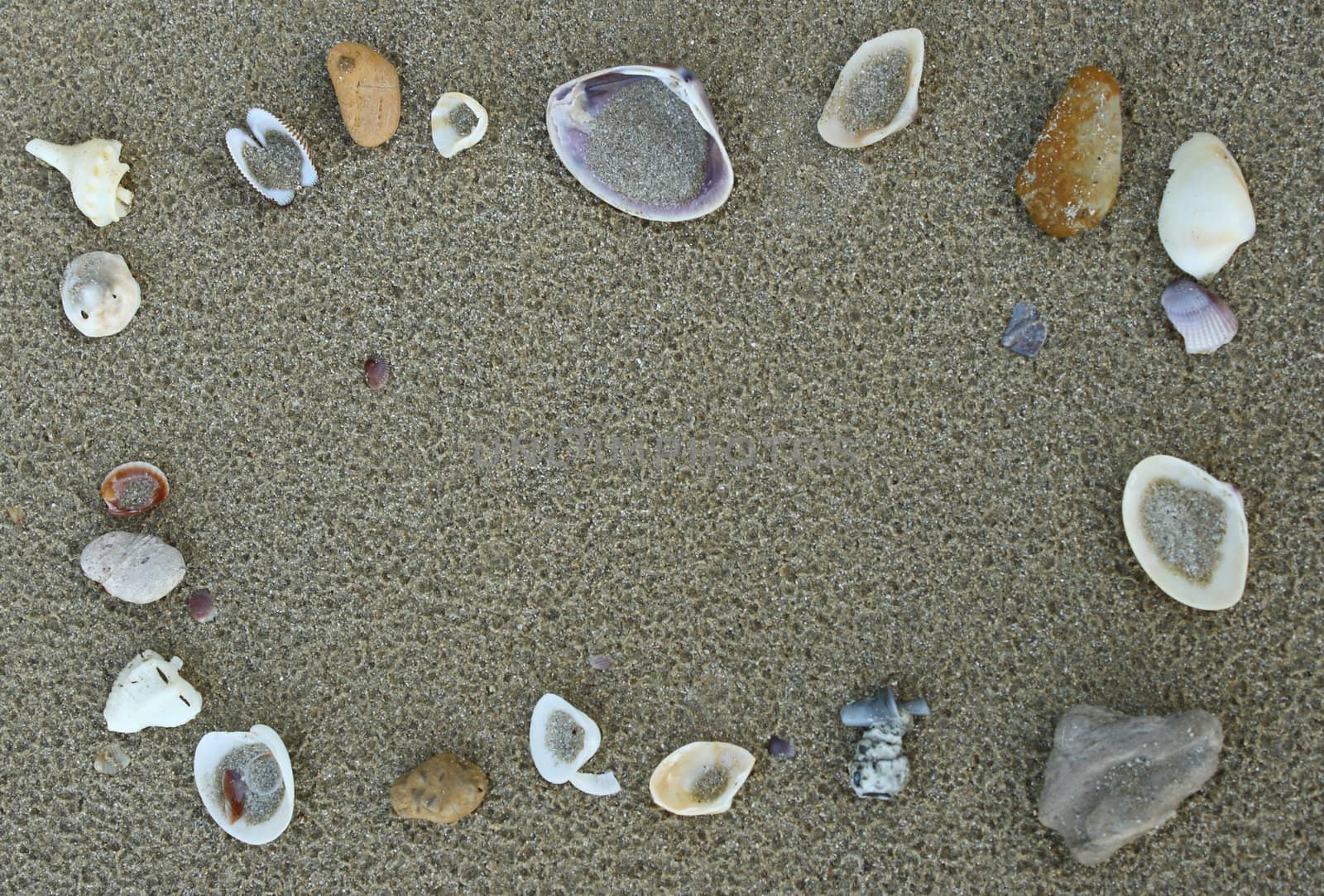 Frame with shell on the beach